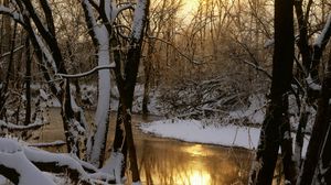 Превью обои река, лес, зима, солнце, отражение