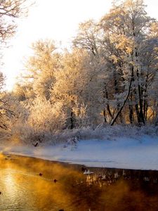 Превью обои река, лес, зима, иней, седина, свет, отражение, оранжевый