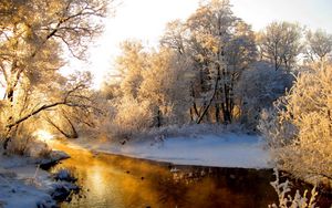 Превью обои река, лес, зима, иней, седина, свет, отражение, оранжевый