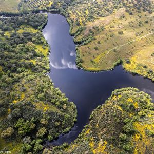 Превью обои река, луга, деревья, природа, вид сверху