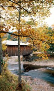 Превью обои река, мост, waterville, vermont, осень, деревья