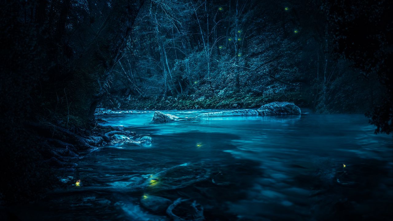 Обои река, ночь, деревья, свет, камни