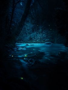 Превью обои река, ночь, деревья, свет, камни