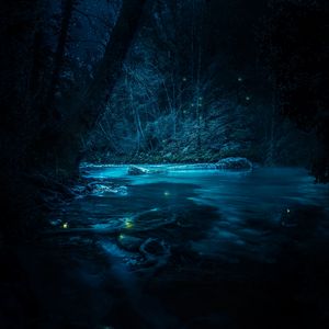 Превью обои река, ночь, деревья, свет, камни