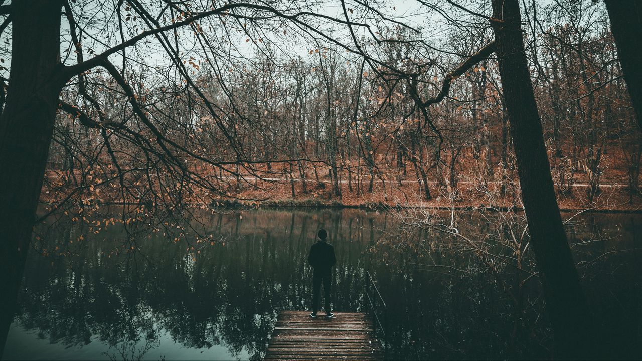 Обои река, одиночество, уединение, осень, деревья, вода, пруд