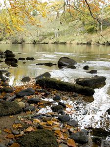 Превью обои река, осень, берег, листья, камни, течение