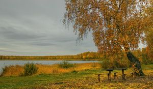 Превью обои река, осень, деревья, стол, скамейка