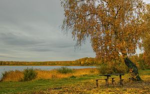 Превью обои река, осень, деревья, стол, скамейка