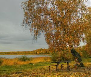 Превью обои река, осень, деревья, стол, скамейка