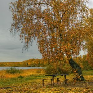 Превью обои река, осень, деревья, стол, скамейка