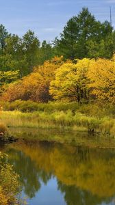 Превью обои река, осень, листья, деревья
