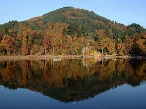 Превью обои река, озеро, осень, деревья, возвышенность
