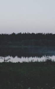 Превью обои река, поле, трава, деревья, вечер