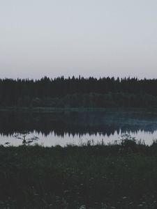 Превью обои река, поле, трава, деревья, вечер