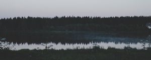 Превью обои река, поле, трава, деревья, вечер