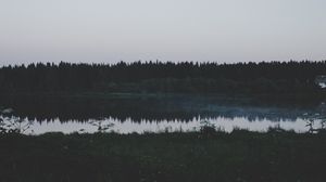 Превью обои река, поле, трава, деревья, вечер