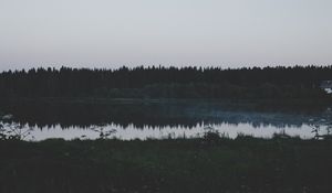 Превью обои река, поле, трава, деревья, вечер