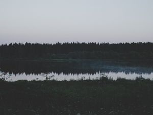 Превью обои река, поле, трава, деревья, вечер