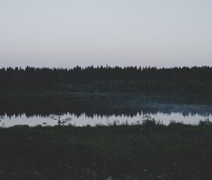 Превью обои река, поле, трава, деревья, вечер