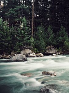 Превью обои река, поток, камни, деревья, лес, природа