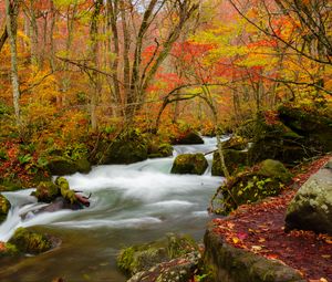 Превью обои река, поток, осень, деревья, листья