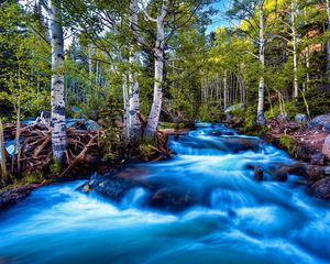 Превью обои река, поток, течение, камни, деревья, ярко, контраст