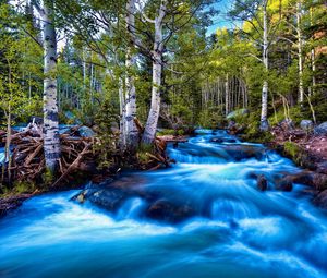 Превью обои река, поток, течение, камни, деревья, ярко, контраст