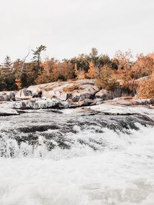 Превью обои река, поток, вода, камни, деревья