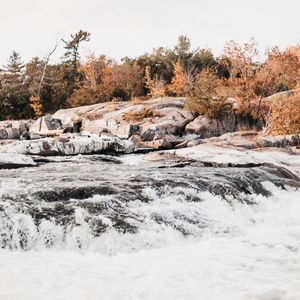 Превью обои река, поток, вода, камни, деревья