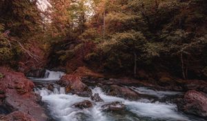 Превью обои река, ручей, деревья, камни, вода