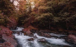 Превью обои река, ручей, деревья, камни, вода