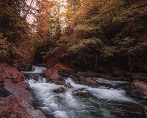 Превью обои река, ручей, деревья, камни, вода