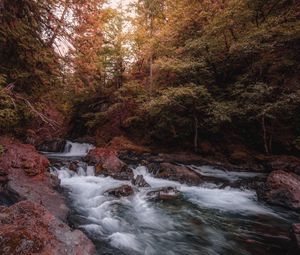 Превью обои река, ручей, деревья, камни, вода