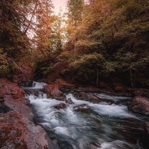 Превью обои река, ручей, деревья, камни, вода