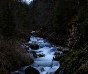 Превью обои река, ручей, камни, деревья, лес