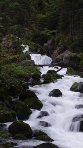 Превью обои река, ручей, лес, камни, деревья, вода