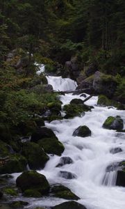 Превью обои река, ручей, лес, камни, деревья, вода