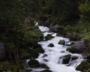 Превью обои река, ручей, лес, камни, деревья, вода