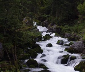 Превью обои река, ручей, лес, камни, деревья, вода