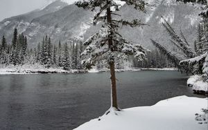 Превью обои река, снег, деревья, гора, пейзаж