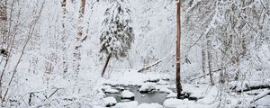 Превью обои река, снег, деревья, зима, природа, пейзаж