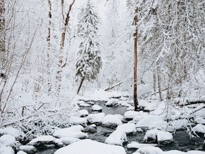 Превью обои река, снег, деревья, зима, природа, пейзаж