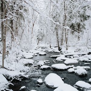 Превью обои река, снег, деревья, камни, зима, природа