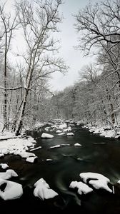 Превью обои река, снег, деревья, вода, зима