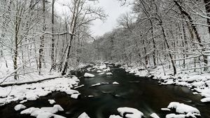 Превью обои река, снег, деревья, вода, зима