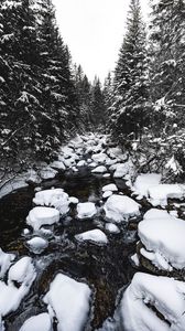 Превью обои река, снег, деревья, камни, вода, зима