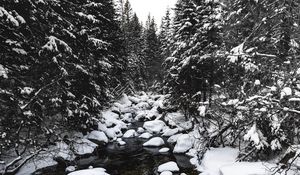 Превью обои река, снег, деревья, камни, вода, зима