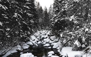 Превью обои река, снег, деревья, камни, вода, зима