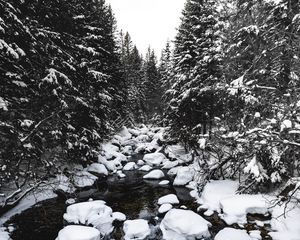 Превью обои река, снег, деревья, камни, вода, зима