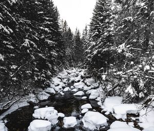 Превью обои река, снег, деревья, камни, вода, зима